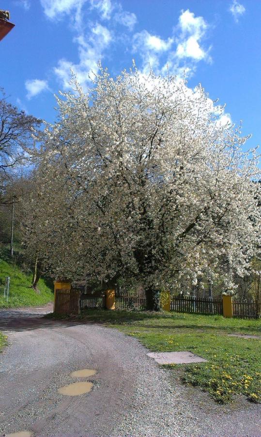 Ferienwohnung Ottmanach Josefhof Pischeldorf المظهر الخارجي الصورة