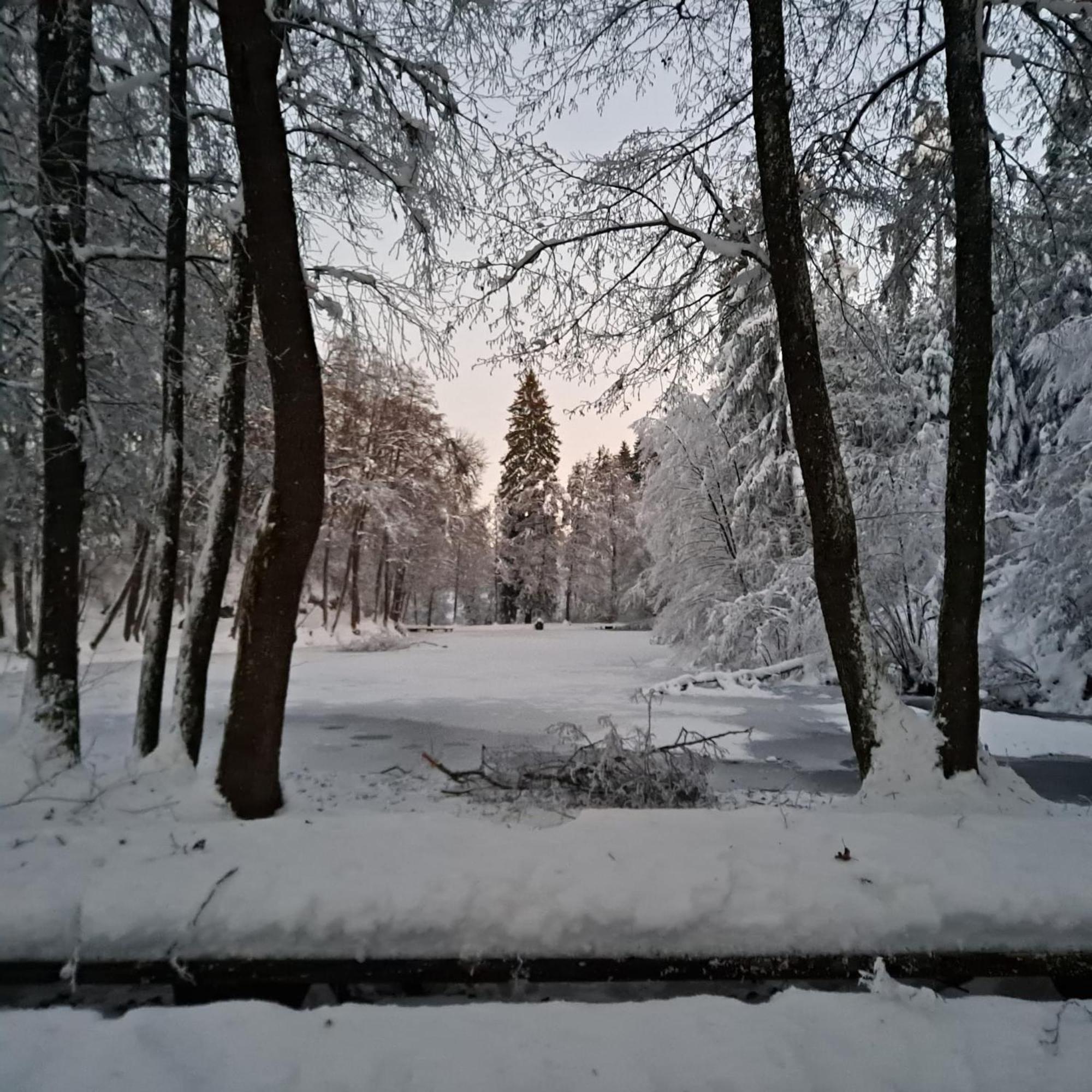 Ferienwohnung Ottmanach Josefhof Pischeldorf المظهر الخارجي الصورة