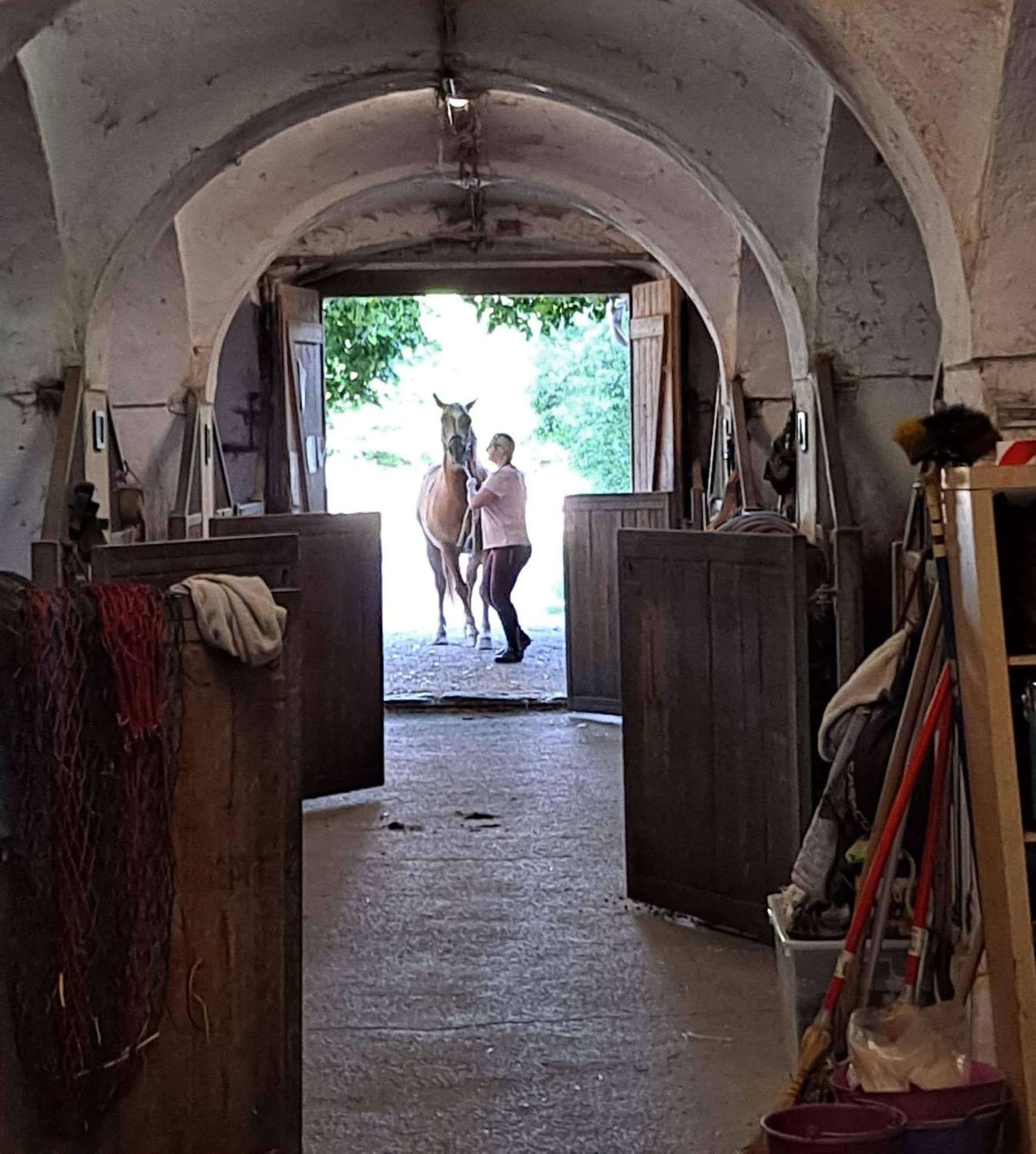 Ferienwohnung Ottmanach Josefhof Pischeldorf المظهر الخارجي الصورة